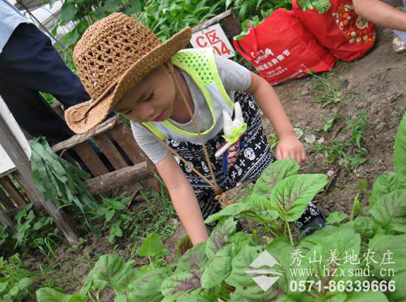 圖1:農(nóng)莊土地認(rèn)養(yǎng)項(xiàng)目 小主人在經(jīng)營自家土地 圖1:農(nóng)莊土地認(rèn)養(yǎng)項(xiàng)目 小主人在經(jīng)營自家土地