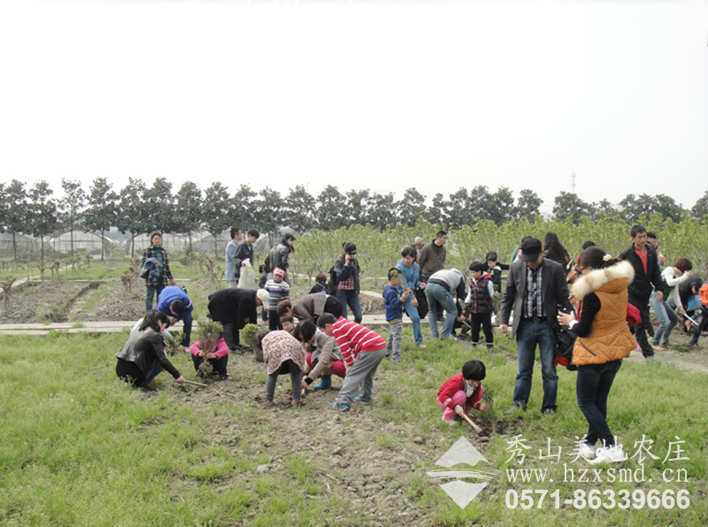 圖1:農(nóng)場活動(dòng)項(xiàng)目 農(nóng)業(yè)科普教育 親子種樹 圖1:農(nóng)場活動(dòng)項(xiàng)目 農(nóng)業(yè)科普教育 親子種樹